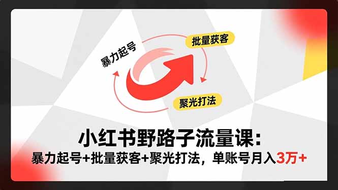 图片[1]-小红书野路子流量课-带你暴力起号-日入过千不是梦