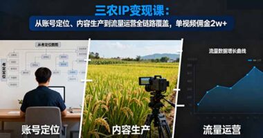 三农领域必看-IP实战变现课-带你飞-爱分享资源网