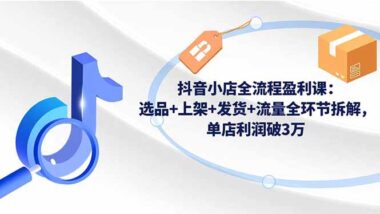 抖店运营实战课：掌握核心技巧-轻松实现流量倍增