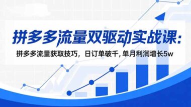 拼多多商家必学-免费+付费流量双驱动-轻松打造盈利爆款-爱分享资源网
