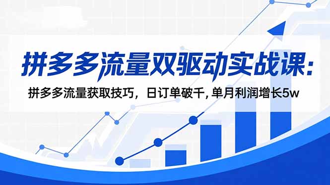 图片[1]-拼多多商家必学-免费+付费流量双驱动-轻松打造盈利爆款