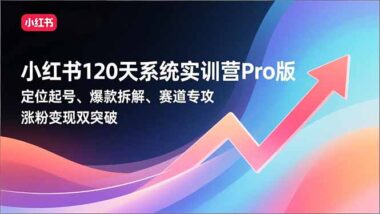 揭秘小红书红利风口-120天带你精准涨粉高效变现-爱分享资源网