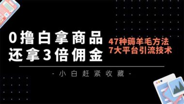 0成本狂薅47种商品-3倍佣金轻松赚-7大平台引流秘籍大公开-月入过万不是梦-爱分享资源网