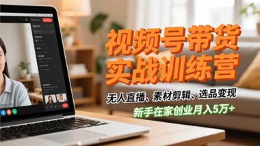 视频号带货实战训练营-解锁无人直播与细分玩法-爱分享资源网