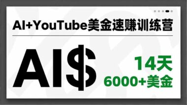 13天开通YPP-30天赚美金-AI YouTube实战营等你加入-爱分享资源网
