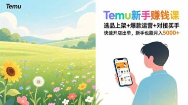 Temu实战全攻略：新手快速出单盈利的捷径-爱分享资源网