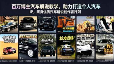 百万博主汽车解说全套教学-0基础也能打造汽车IP-月入过万不是梦-爱分享资源网