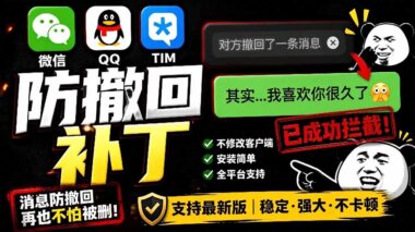 微信/QQ/TIM 防撤回+多开工具来了-Windows 版开源免费-长期维护-错过拍大腿