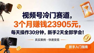视频号冷门赛道-新手2天上手-每天30分钟-3个月变现23905元-爱分享资源网